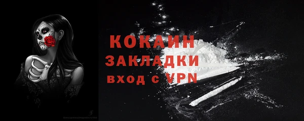 дмт Заводоуковск