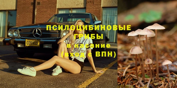 дмт Заводоуковск