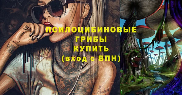 молекула духа Заволжье