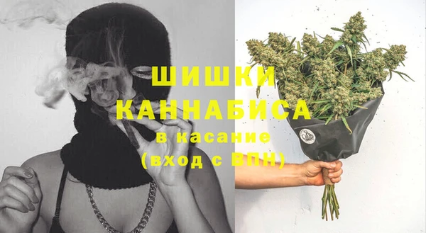 дмт Заводоуковск